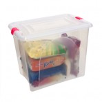 Organizador 25 Lt com tampa